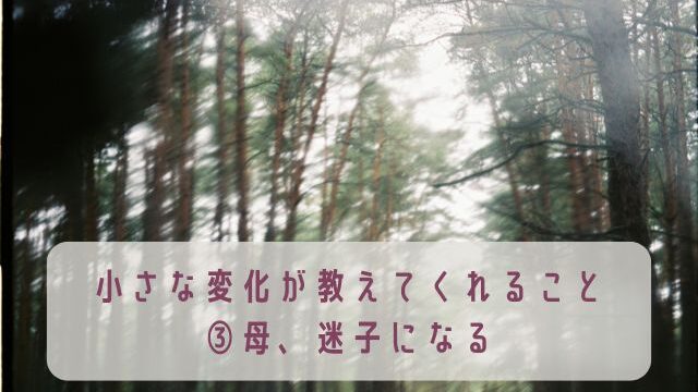 小さな変化が教えてくれること③母、迷子になる